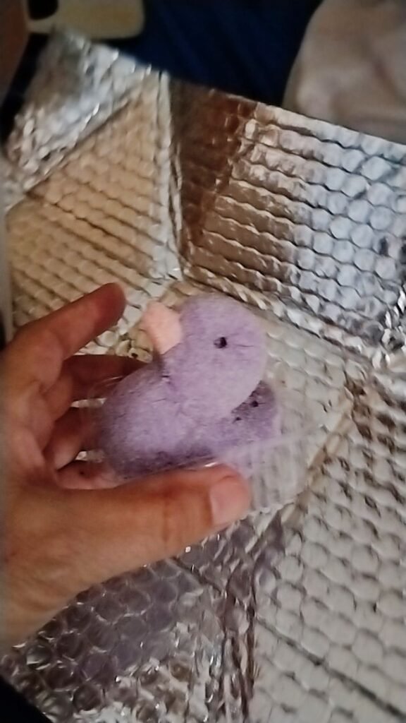 Marshmallow Sour Duck Blindbox Single Asli 100% Halal